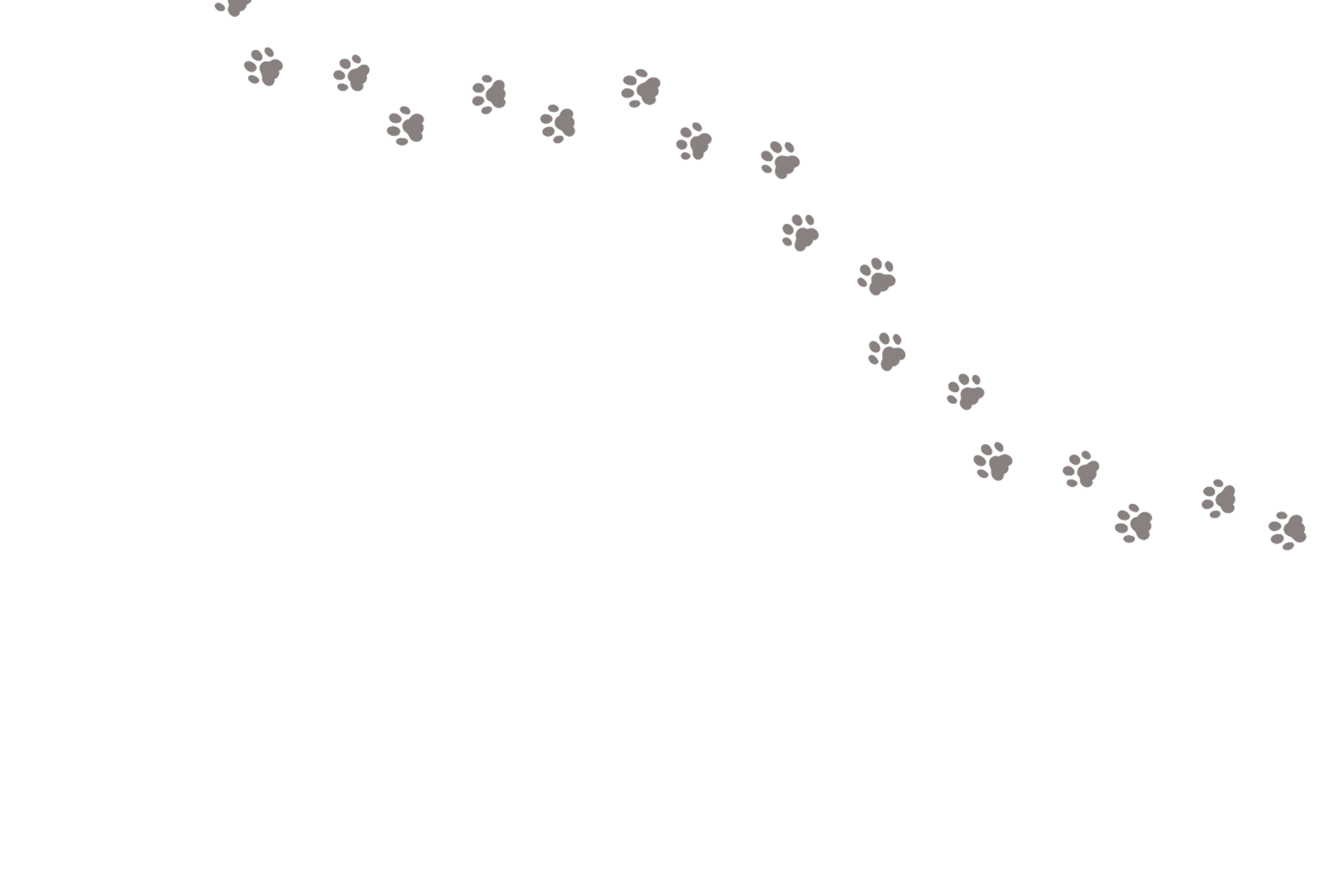 ペットとの思い出